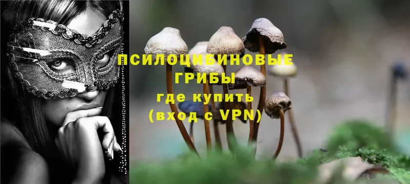 Галлюциногенные грибы Magic Shrooms  Кремёнки 